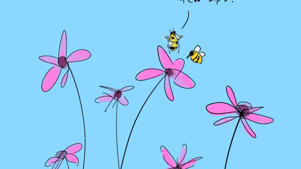 creating-some-buzz….