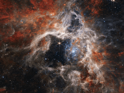a-cosmic-tarantula,-caught-by-nasa’s-webb