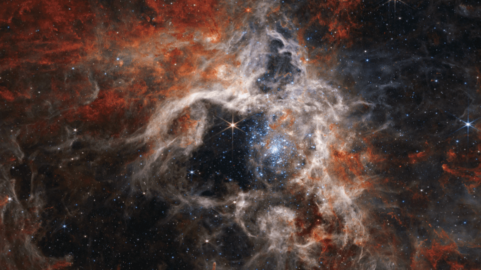 a-cosmic-tarantula,-caught-by-nasa’s-webb