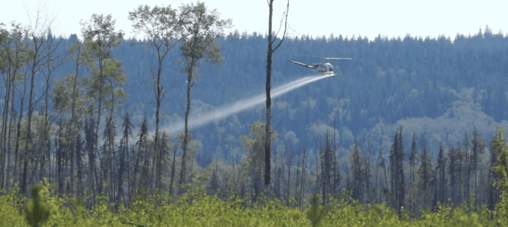 Glyphosate Spraying Up 30% On Crown Forest Since 2005