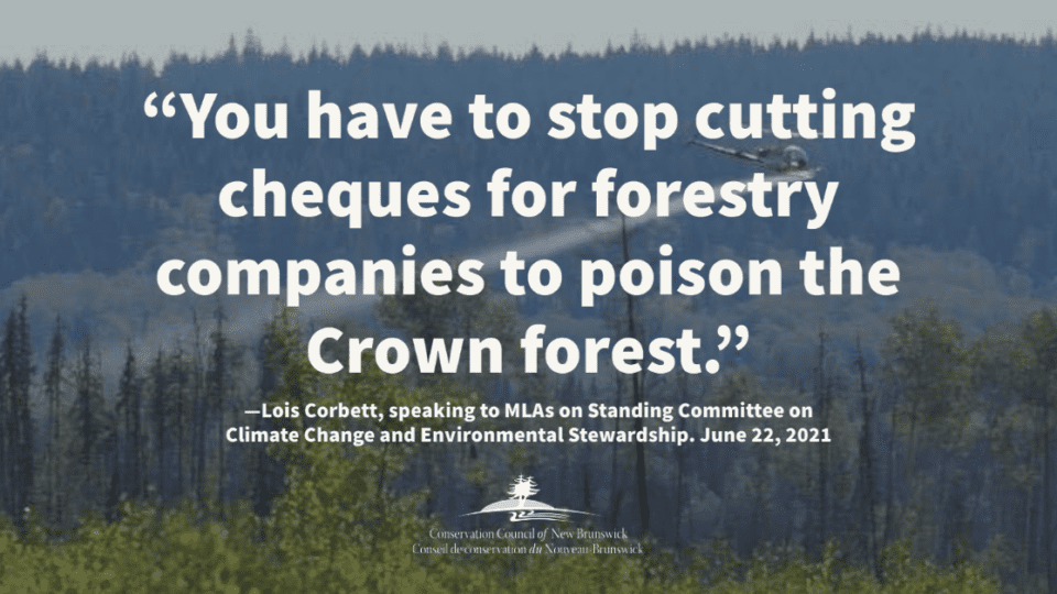 econews—glyphosate-spraying-up-30%-on-crown-forest