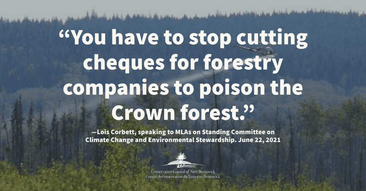 EcoNews—Glyphosate Spraying Up 30% On Crown Forest