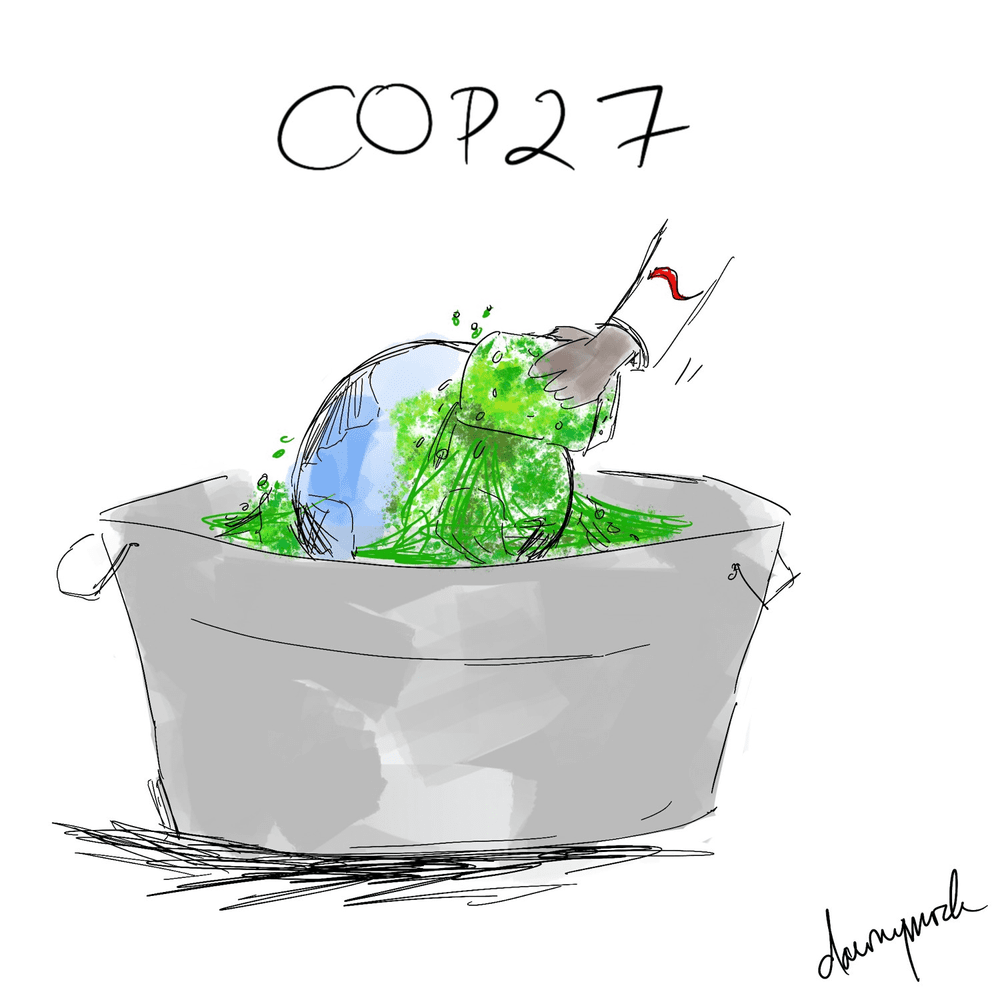 COP27