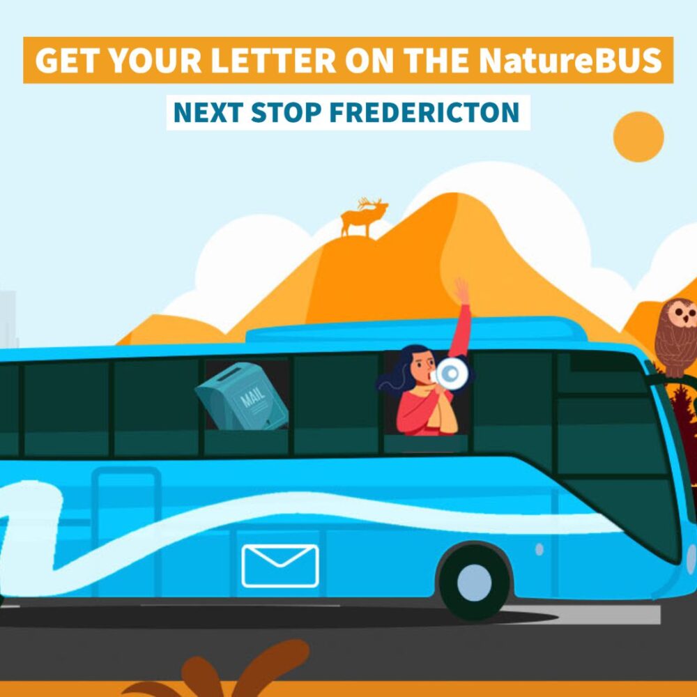 Get your message for NatureCOP on the NatureBus!