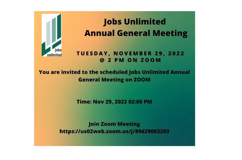 Jobs Unlimited Annual General Meeting on Zoom