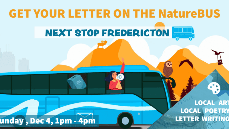 econews—take-action-edition