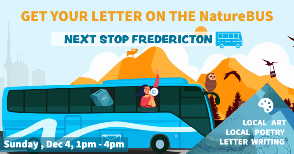 EcoNews—Take Action Edition