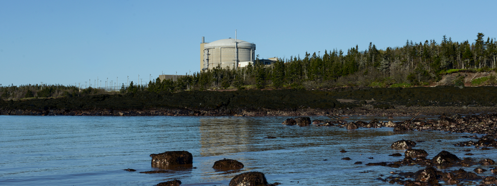 Latest Shutdown Shows Need For Public Hearings Into Future of Lepreau Nuclear Plant