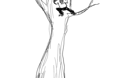 Where do I get my ideas, you ask?