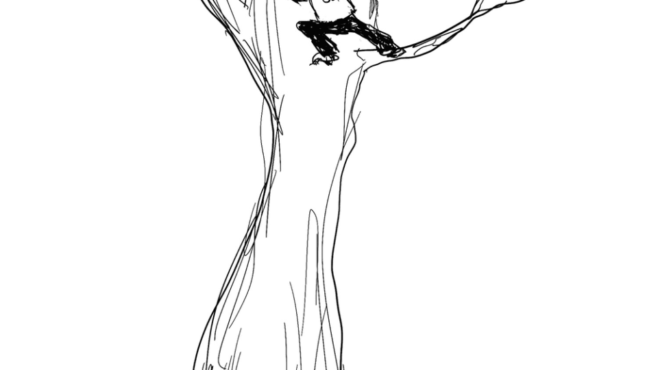 where-do-i-get-my-ideas,-you-ask?