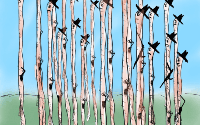 Cartoon what you know….