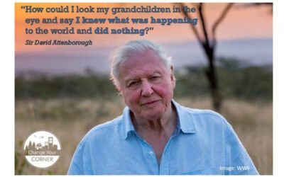 Are you a Jim or a David?