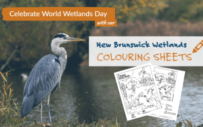 EcoNews—Big Year. Bold Plans.