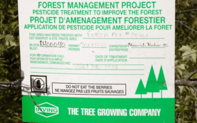 EcoNews—Glyphosate and the brain