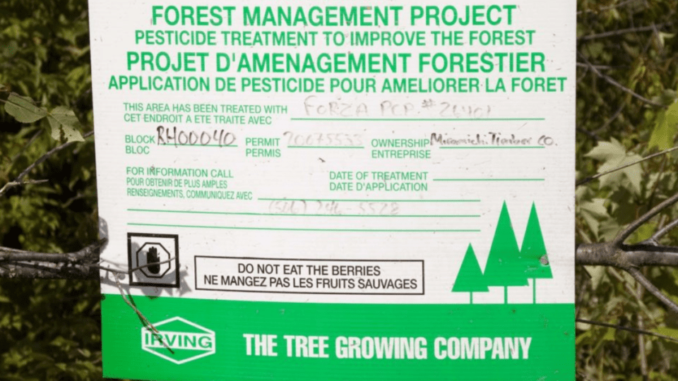 econews—glyphosate-and-the-brain