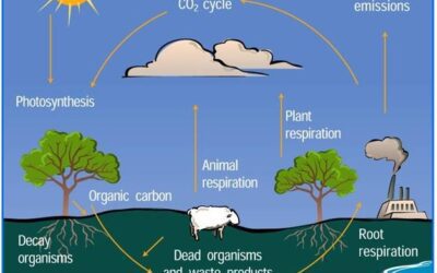 Some things are worth repeating