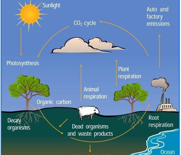 some-things-are-worth-repeating