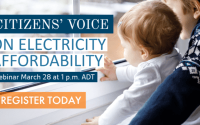 Webinar: Citizens’ Voice on Electricity Affordability