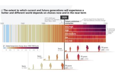 A report that (hopefully) lights a firecracker under our collective butts
