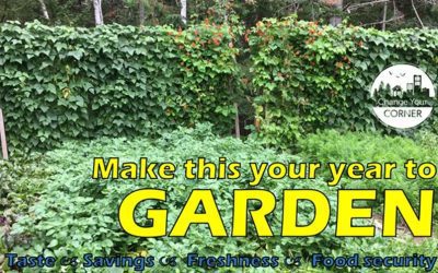 Lower your grocery bills and carbon footprint