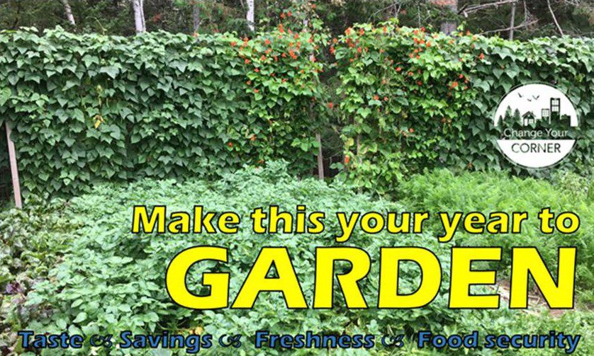 lower-your-grocery-bills-and-carbon-footprint