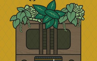 Living Roots Music Festival 2023