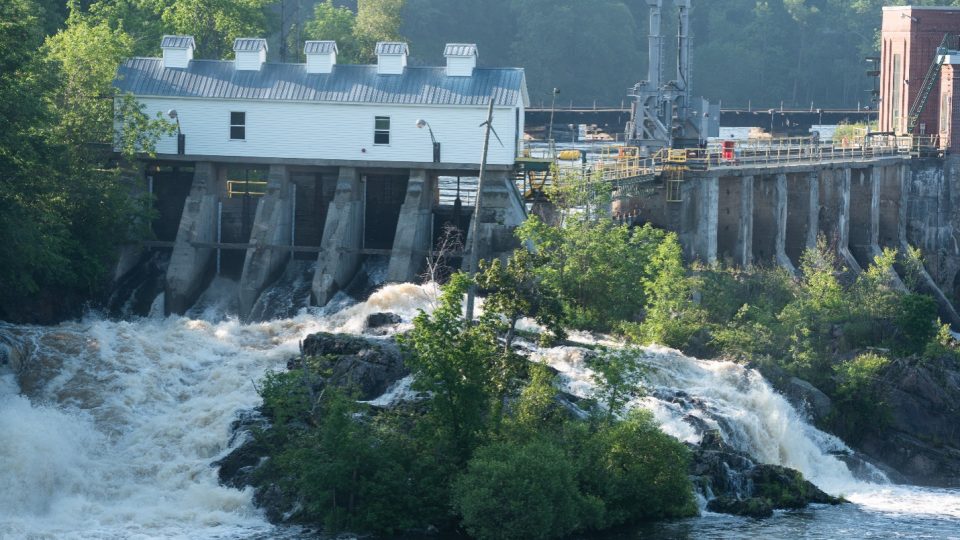 alewife-are-running-up-the-milltown-dam-fishway-for-the-last-time!