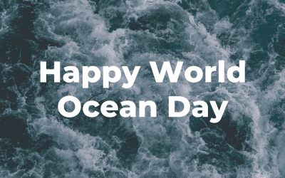 A Baykeeper’s view of Oceans Day