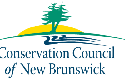 Job Posting: Executive Director