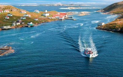 Two Newfoundland bioscience companies latest to join Emergence Incubator