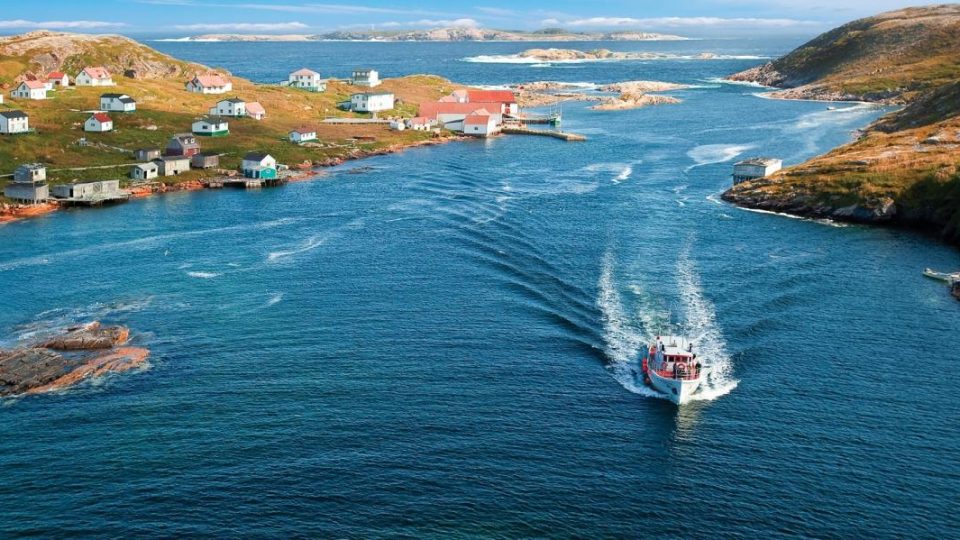 two-newfoundland-bioscience-companies-latest-to-join-emergence-incubator