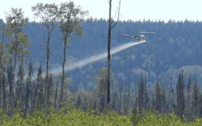 EcoNews—Gas Hikes, Loopholes, Electricity Facts and Herbicide Hotspots