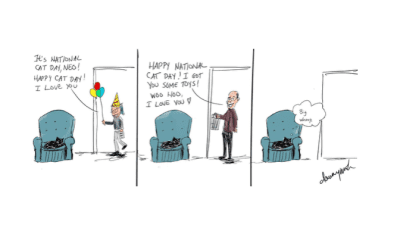 It’s international cat day!