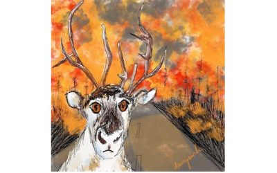 Our wildlife deserves better, don’t you think?