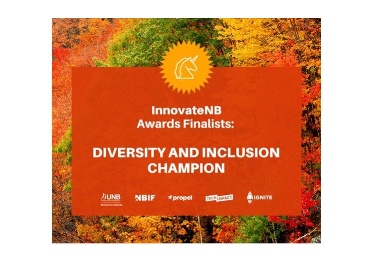 Celebrating Diversity and Inclusion Champions: Meet the Finalists Making a Difference!