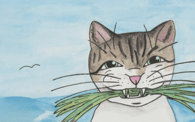 WVA students publish their books with new partnership