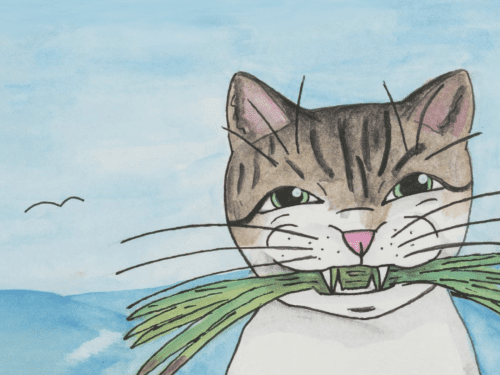 wva-students-publish-their-books-with-new-partnership