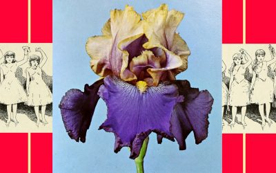 Hope & Resistance – Concert 2024