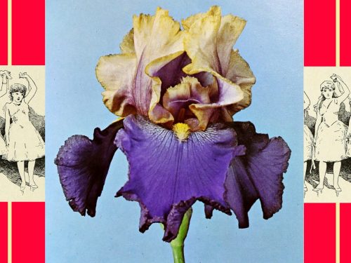 hope-&-resistance-–-concert-2024