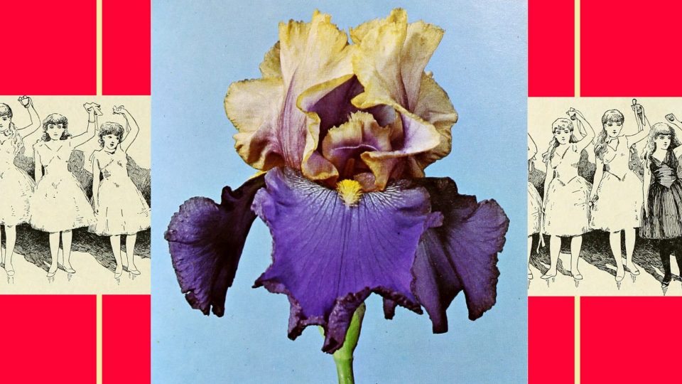 hope-&-resistance-–-concert-2024