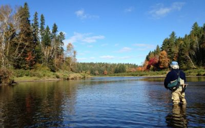 New Brunswick government’s water strategy review drowns in vague commitments and shifting targets