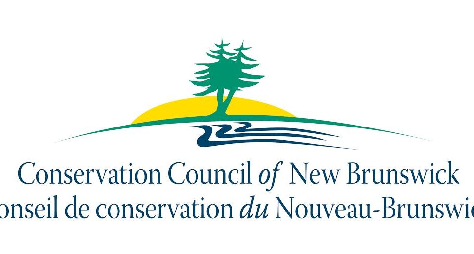 new-brunswick’s-2024-25-budget-a-missed-opportunity-to-take-urgent-environmental-action