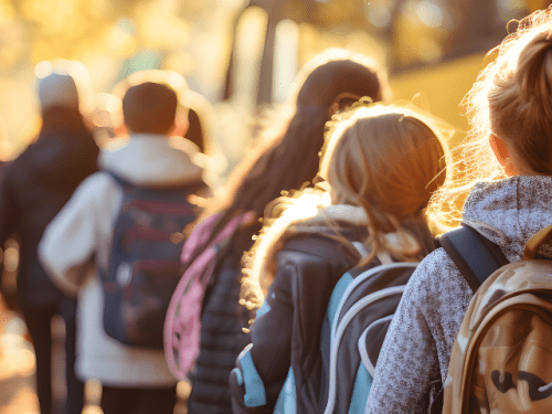 teslas-for-politicians,-diesel-buses-for-new-brunswick-kids