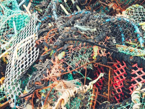 haunting-the-seas:-ghost-gear-and-plastic-debris-in-southwest-new-brunswick