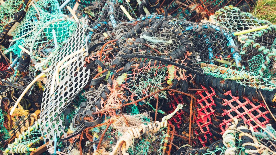 haunting-the-seas:-ghost-gear-and-plastic-debris-in-southwest-new-brunswick