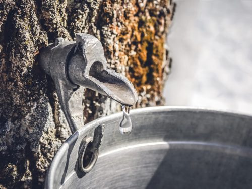 dr.-moe-qureshi:-climate-change-is-threatening-the-things-we-love-as-canadians