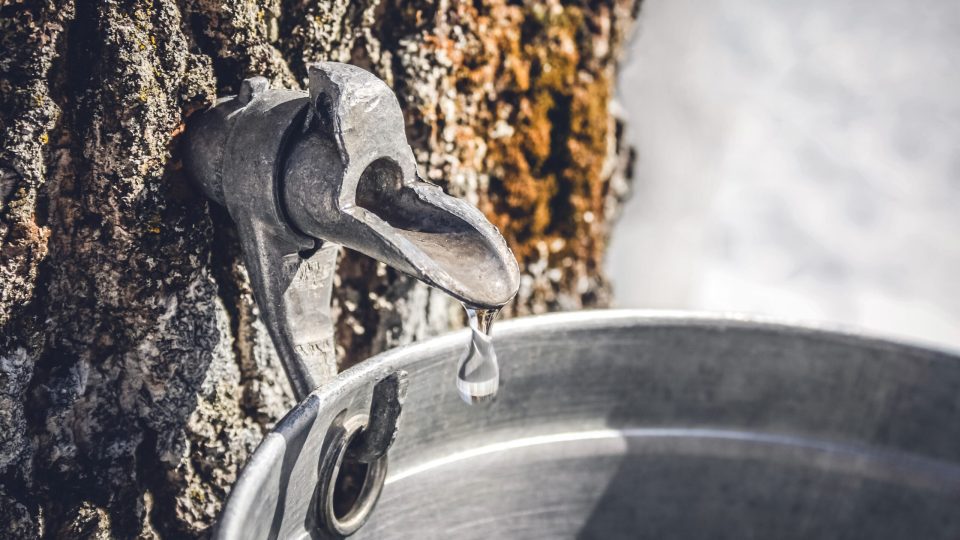 dr.-moe-qureshi:-climate-change-is-threatening-the-things-we-love-as-canadians