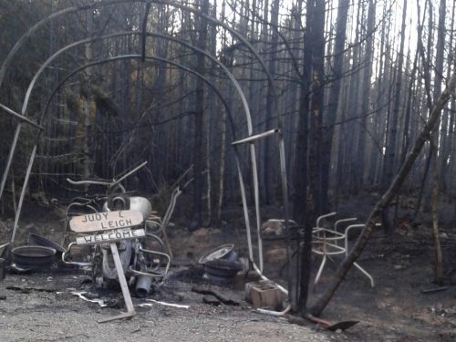 facing-the-flames:-when-wildfires-hit-close-to-home