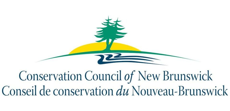 bay-of-fundy-cruise-with-conservation-experts