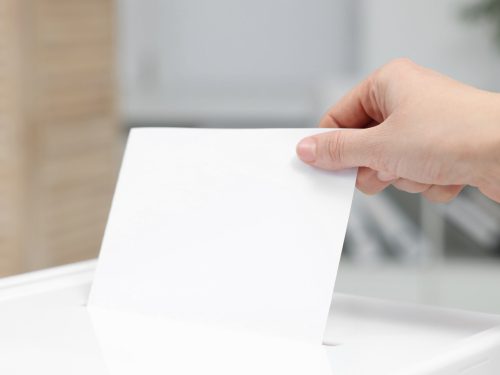 econews-—-special-provincial-election-edition